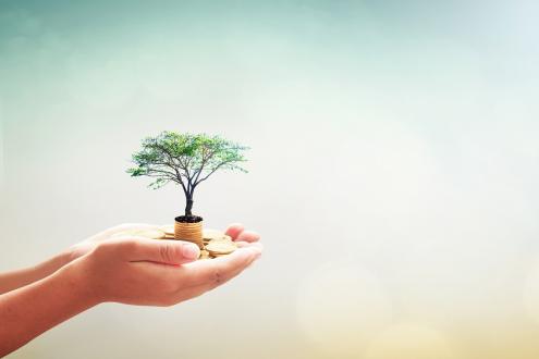 ESG Investing: The Rise, The Decline, and the Quest for Authenticity