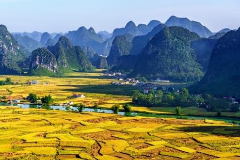 The Development of the Wealth Management Offering in Vietnam